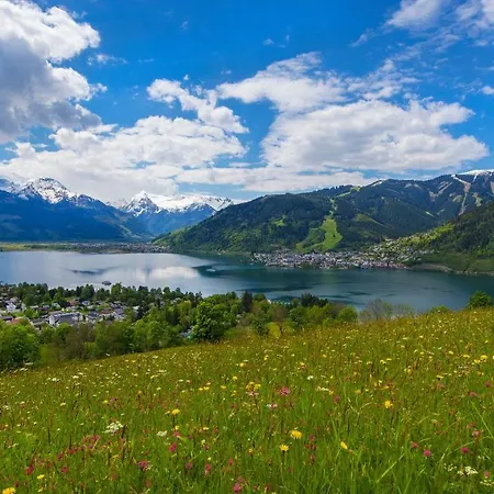 莱本采尔特酒店 酒店