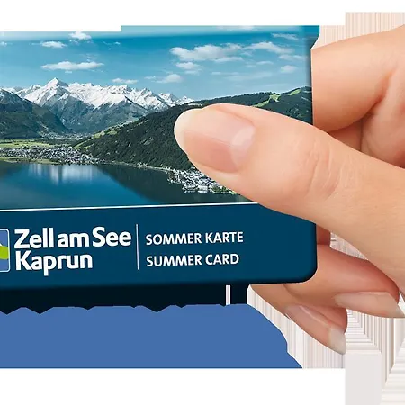 酒店 莱本采尔特酒店 3*